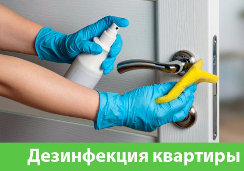 Дезинфекция квартиры в городе Златоуст