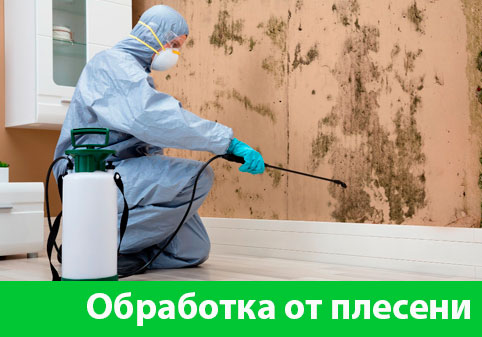 Обработка от плесени в городе Златоуст